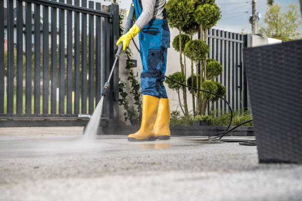 Best Driveway Pressure Washing  in Williston, ND